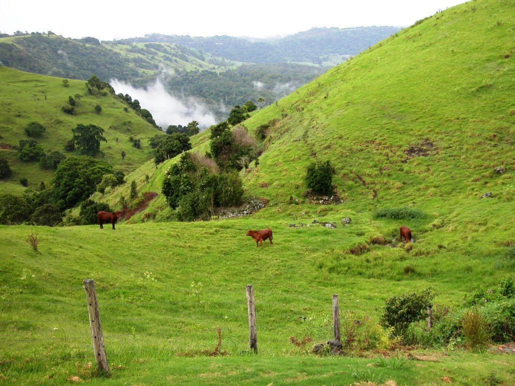 Top Of The Hill Maleny Dış mekan fotoğraf