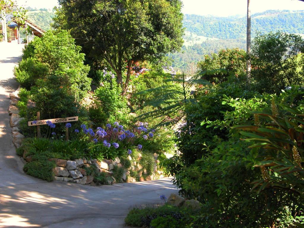 Top Of The Hill Maleny Dış mekan fotoğraf