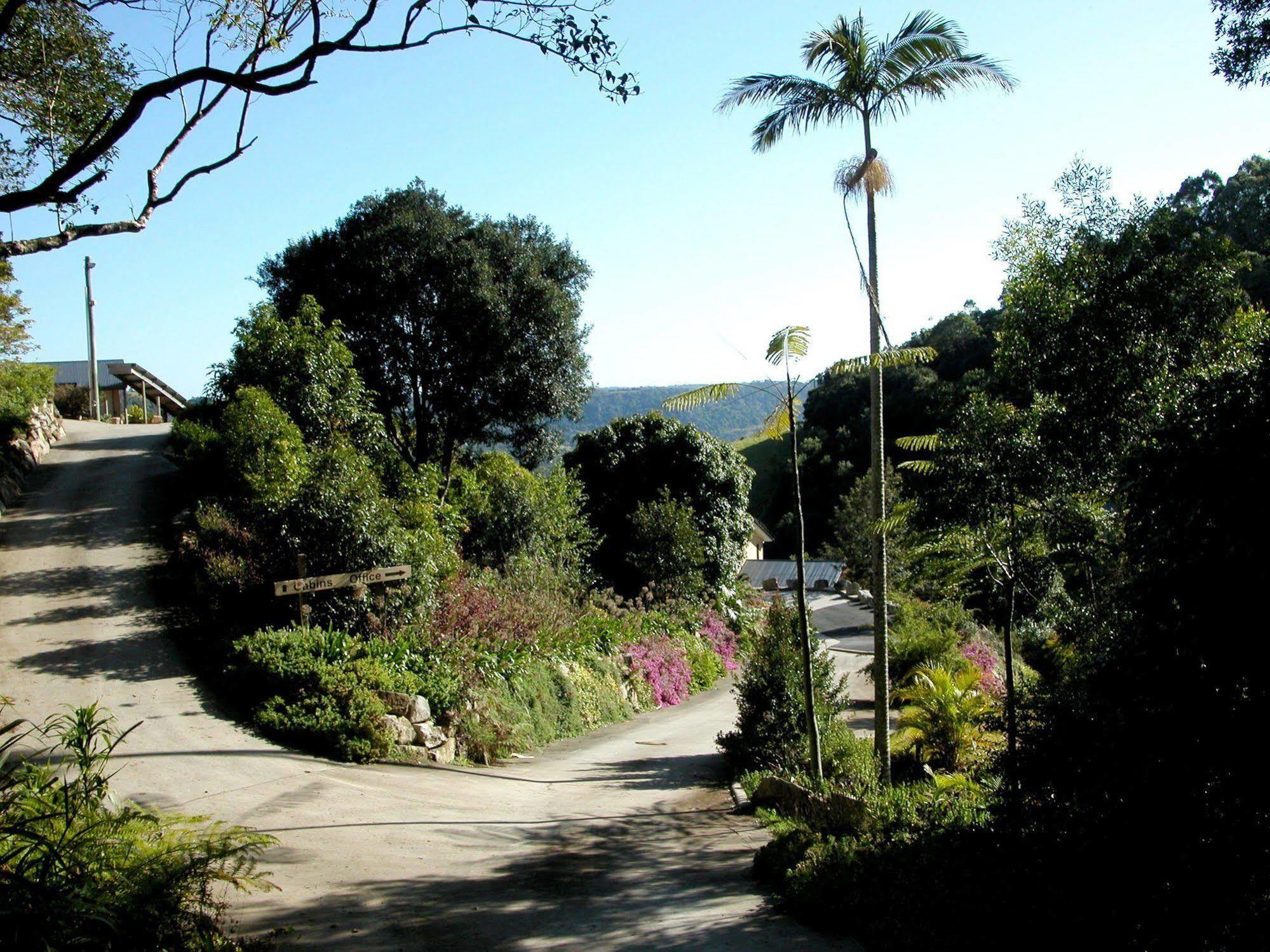 Top Of The Hill Maleny Dış mekan fotoğraf